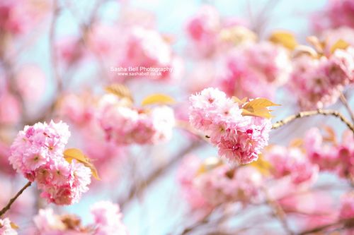 �����ж�����ǽ�赲���ܻ���һ����������������� (2)