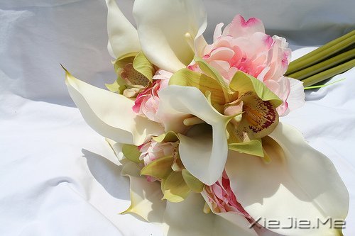 ���㶮�ã�������ϧ (7)