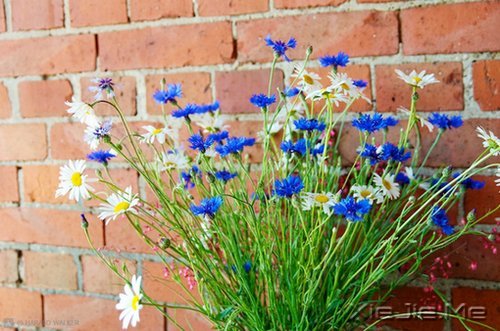 把日子过成诗,简单而精致 (8)