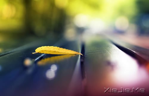 ��Ҫֹͣ׷��ĳЩ�������������� (5)