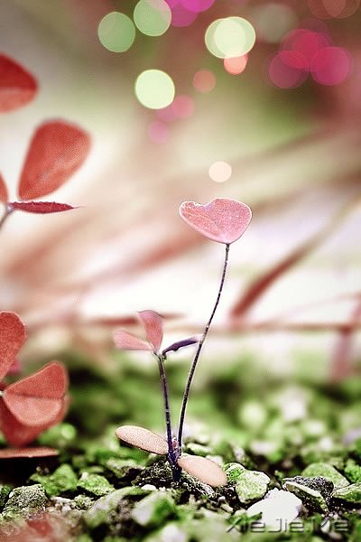 ��Ҫֹͣ׷��ĳЩ�������������� (14)