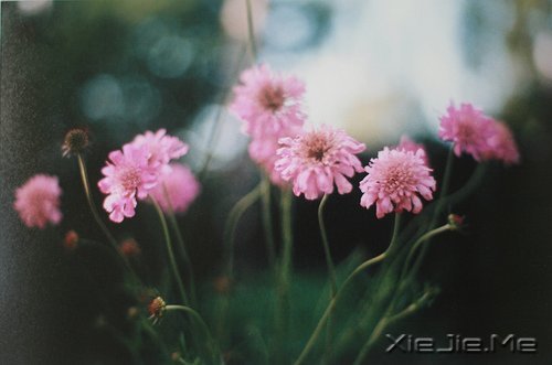 ������ʵ���Լ���������õ� (9)