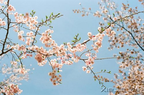 ������ֻ��Ҫһ��������΢Ц (3)