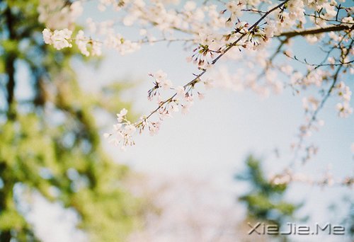 有些事,笑笑就能过去 (7)