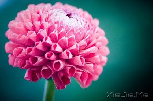 ��Ȼһ�У��������� (7)