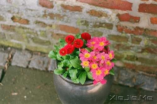 ��Ҫ���ű��˵Ľ�ӡ�����Լ���· (7)