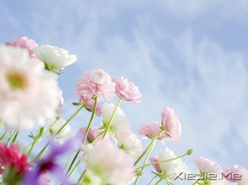 ������һ������ʵ��һ�������� (1)