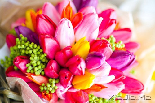 �����������������������Į (5)