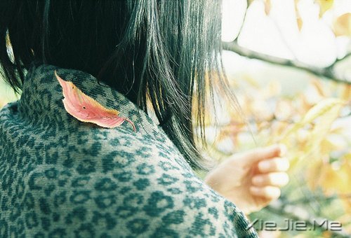 ����������Լ����������ǣ������Ǳ��������еĿ��� (8)