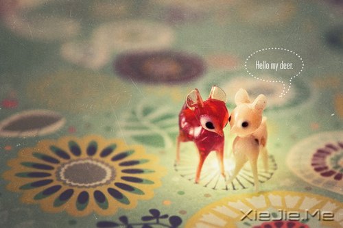 晚安心语:学最好的别人,做最好的自己 (8)