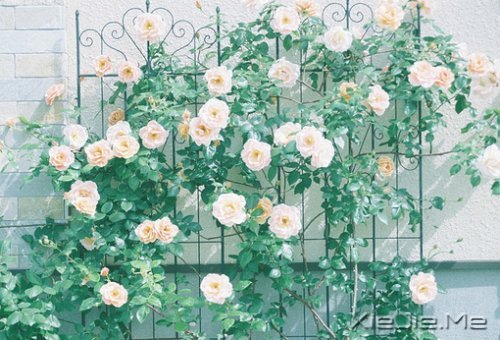 ������ᣬȴ���ӵ�з������������ (2)