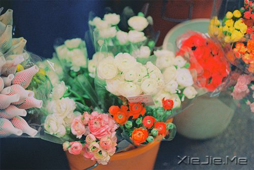 ������ᣬȴ���ӵ�з������������ (3)