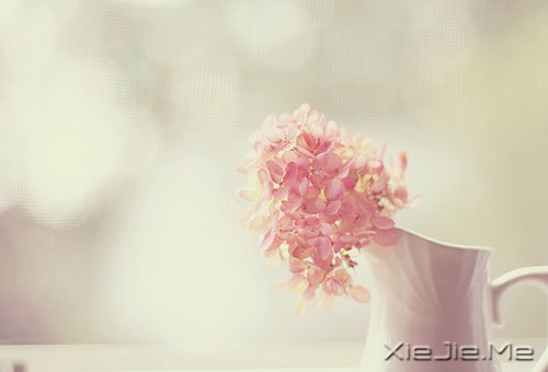 ������������������ǵ�Ȼ (8)