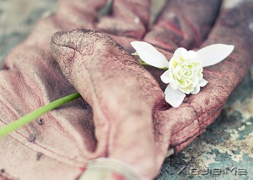 �����õ��ܻ��ڲ��������� (4)