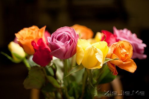 �簲�������Ҫ�ģ����¶������ (6)