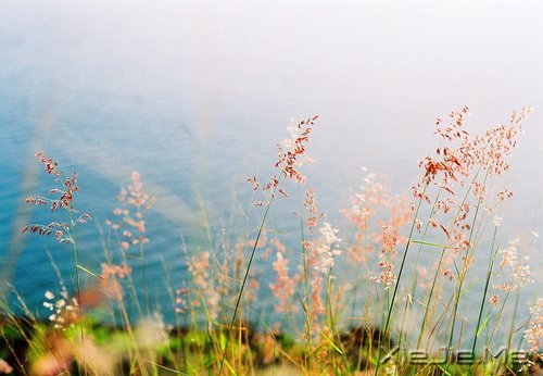 ���������ܵ��ˣ�ֻ�������������ǿ (9)