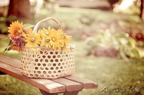 ���������Ļ��������ִܵ����ĵķ��� (6)