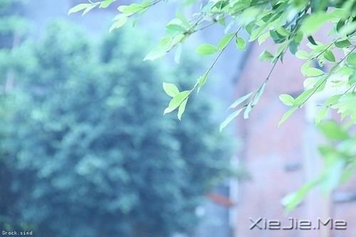 ��������ҿ�����û��û�Σ�����ʵ��˭���������� (10)