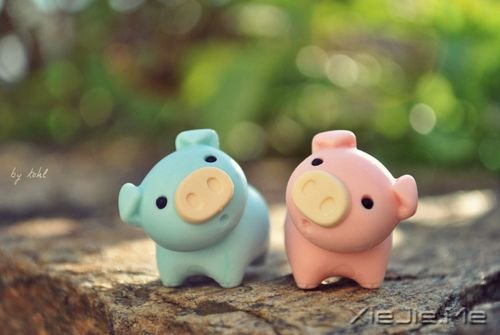 �簲����Ұ��Լ���û����� (3)