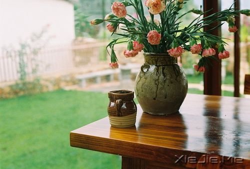 ��������Ե�����·��������������ߵ� (8)