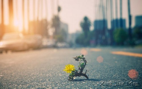 �簲�������һ��·��ͨ��ʺ���� (4)