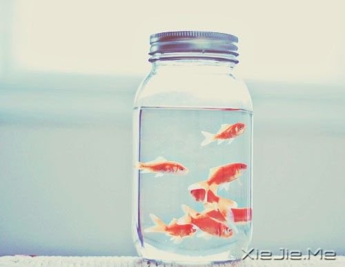 晚安心语:人最软弱的地方,是舍不得 (5)