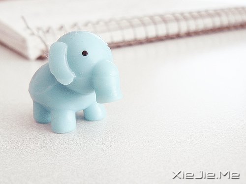 �������ԽŬ����Խ���� (10)