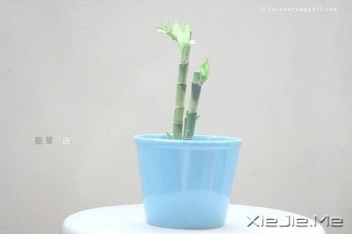 ������������ᣬ���߶�Զ�߶�Զ (9)