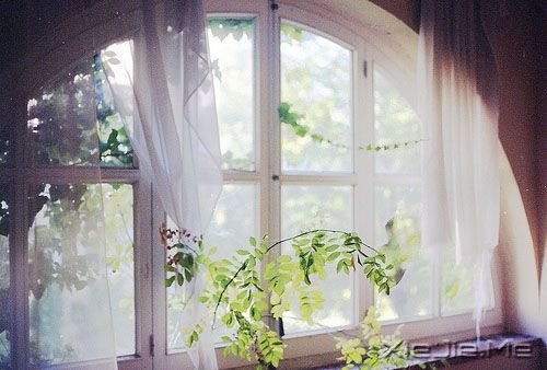 ���������Ҫ��Ϊһʱ���ķ�������һ���ӵ�ɵ�� (5)