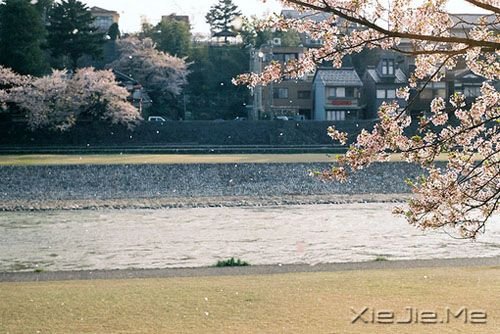 晚安心语:一个人时,善待自己;两个人时,善待对方 (2)