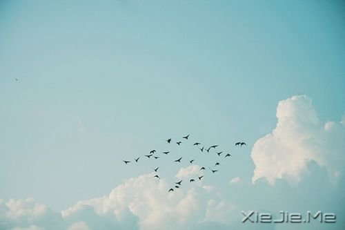 早安心语:做单纯的人,走幸福的路 (8)