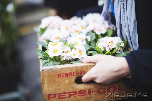 �簲�������ĽŲ����������߳ɰ��ķ羰 (4)