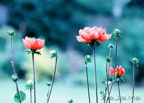 �����������һ�ο���������˲�䳤�� (7)