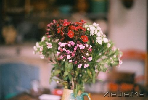 �簲����:�Լ���Ц�ݲ��������ķ羰 (3)