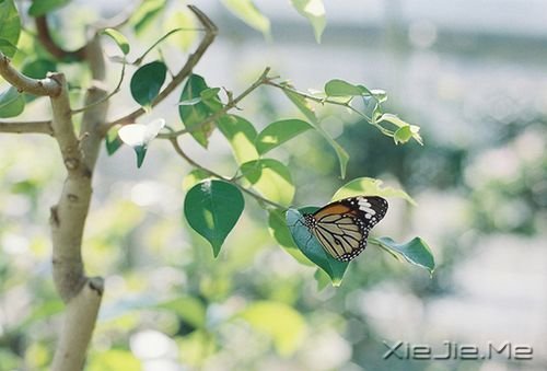 ������������õ��ܻ��ڲ��������� (7)