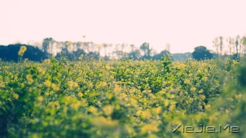 �簲����������Կ��ƣ������᲻������ (4)