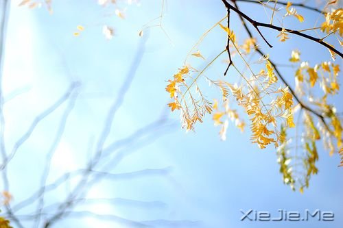 �簲����������з����꣬Ҳ������ (4)