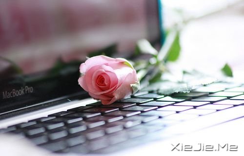 �簲��������Լ��ȶ������ˣ�����Ҫ (8)