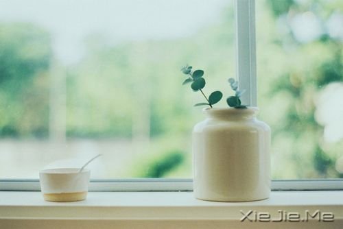 ��������������Ҫ��̫�࣬����Ż������ϲ (11)