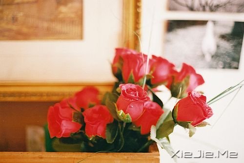 ���������Ĭ��ֻ������ľ��� (4)