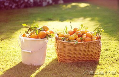 �簲���������ģ������ٸ��� (8)