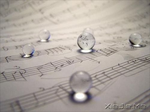 晚安心语:你的优秀,不需要任何人来证明 (3)