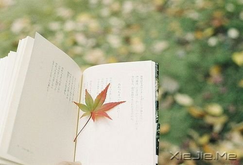 早安心语:总有许多事,需要一个人扛 (2)