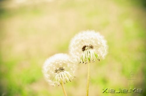 ���Լ��Ĺ⣬�����Լ���·