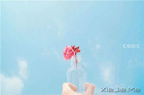 С����ͼƬ (1)