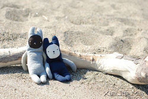 ��������������Ļ��䣬����΢Ц���� (8)