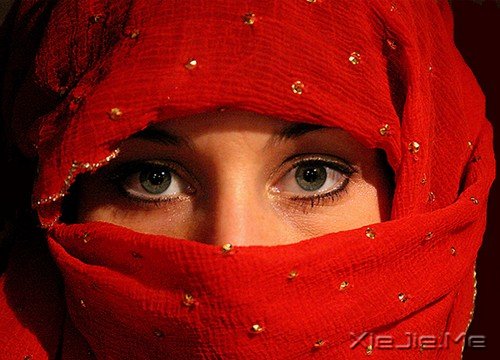 40˫�������۾�