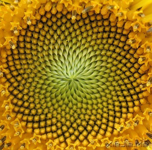 һ�������ˣ�����ȥԶ�� (2)