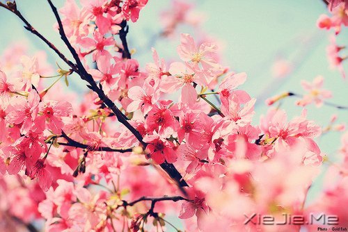 д�˽����ʣ�������һ�� (5)