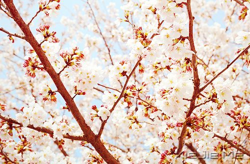 ������¼��50�������ľ��� (4)